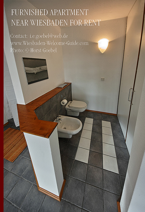 FURNISHED-APARTMENT-NEAR-WIESBADEN-17kl1