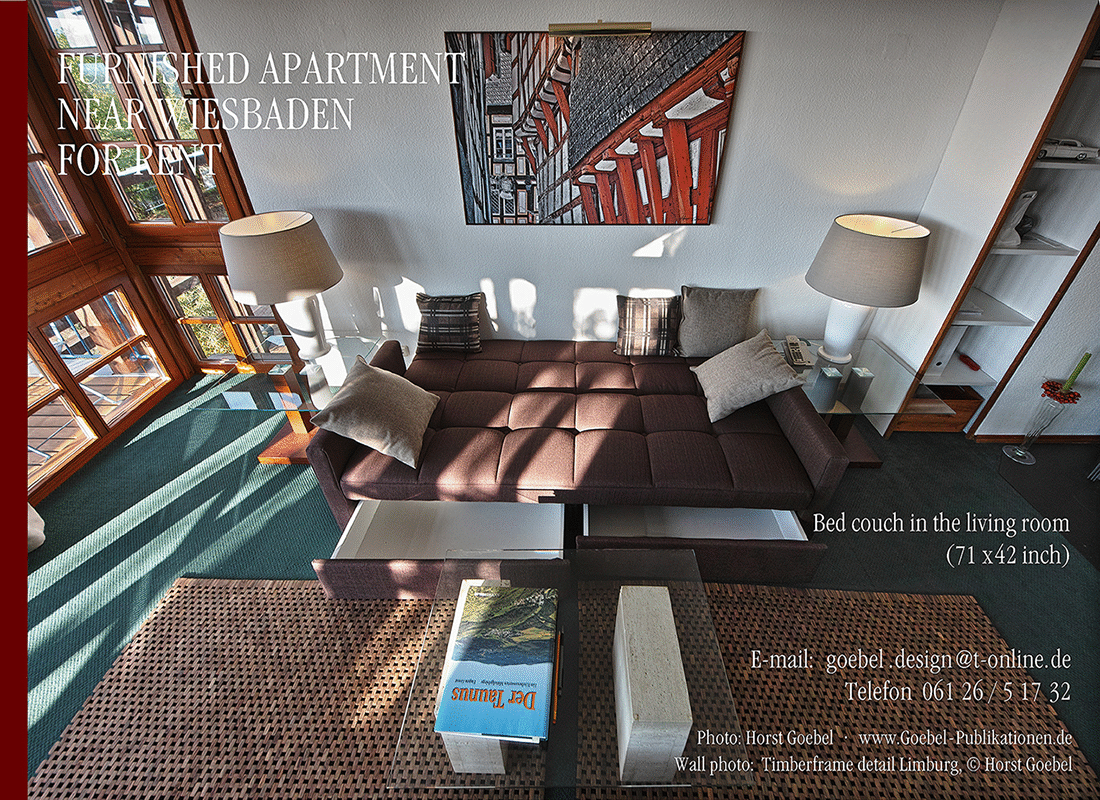 FURNISHED-55APARTMENT-NEAR-WIESBADEN-54KL