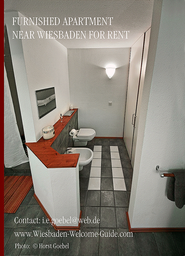 FURNISHED-APARTMENT-NEAR-WIESBADEN-17b