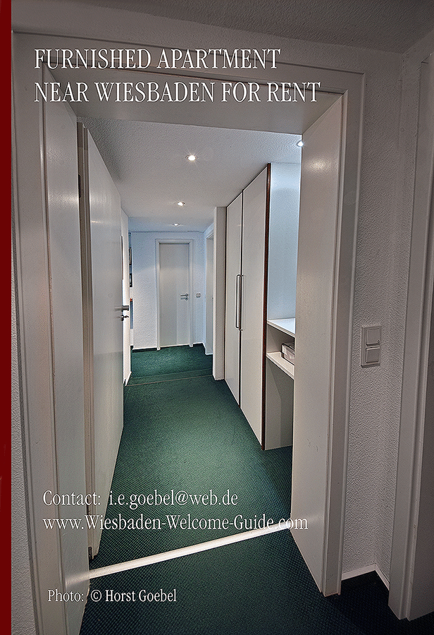 FURNISHED-APARTMENT-NEAR-WIESBADEN-21