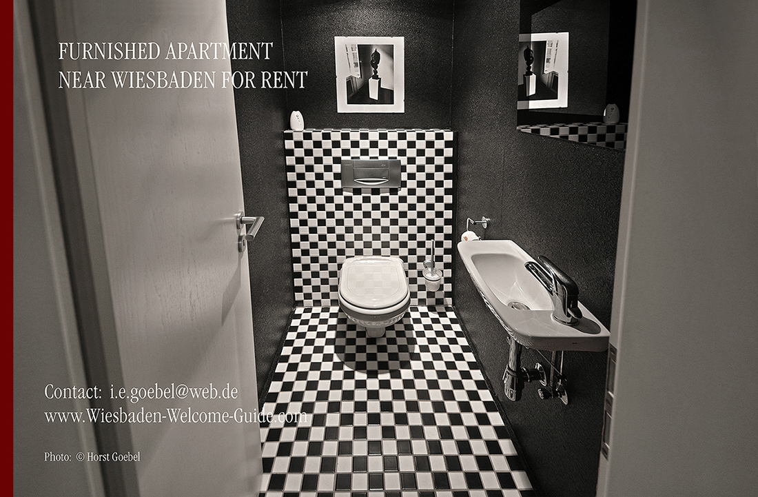 FURNISHED-APARTMENT-NEAR-WIESBADEN-23