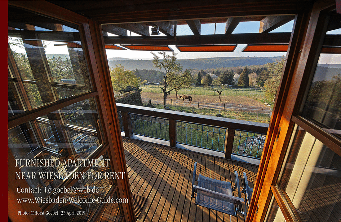 FURNISHED-APARTMENT-NEAR-WIESBADEN-33c