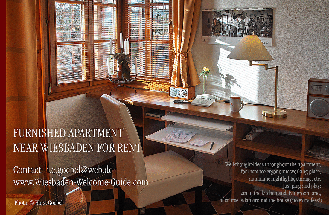 FURNISHED-APARTMENT-NEAR-WIESBADEN-35kl text1