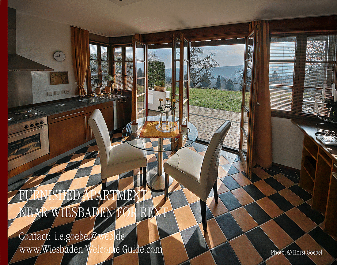 FURNISHED-APARTMENT-NEAR-WIESBADEN-44