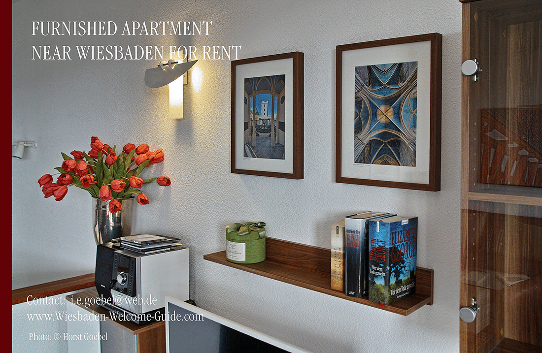 FURNISHED-APARTMENT-NEAR-WIESBADEN-49