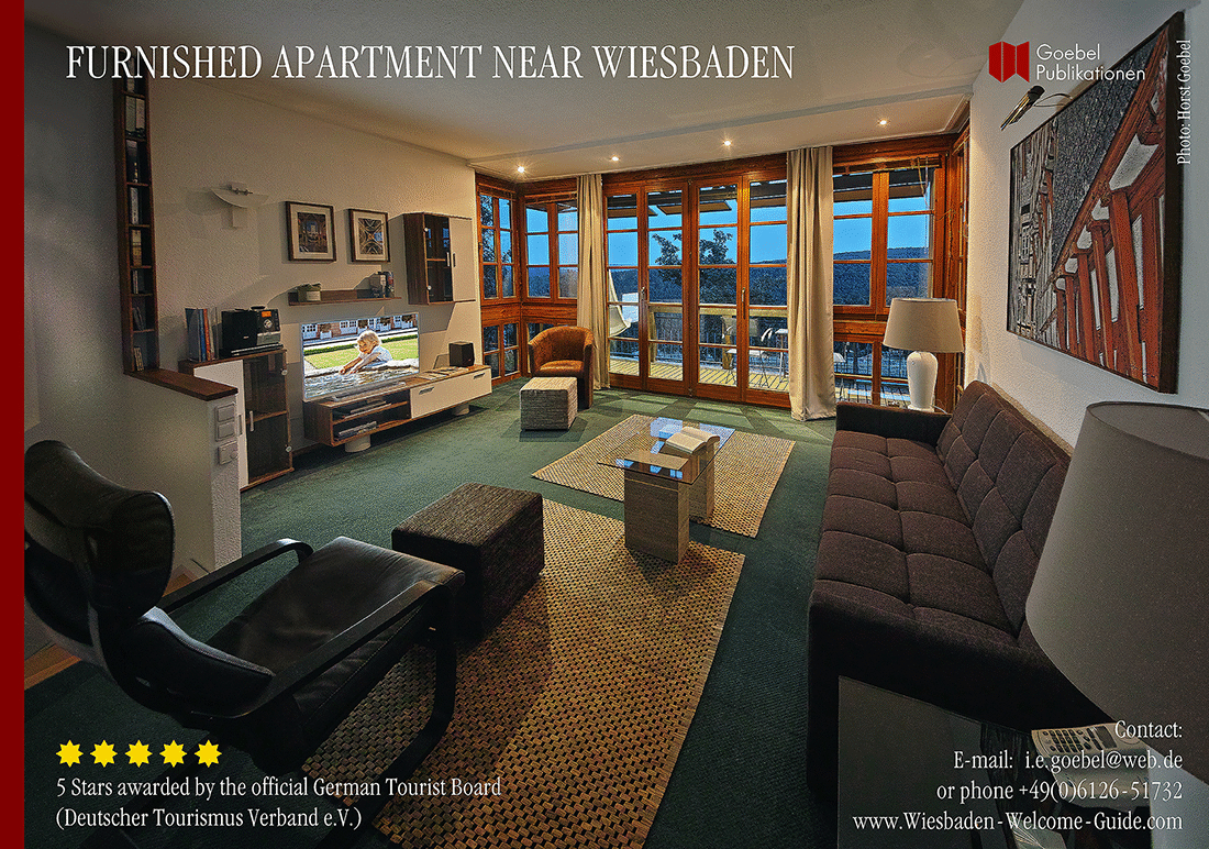 FURNISHED-APARTMENT-NEAR-WIESBADEN-68B