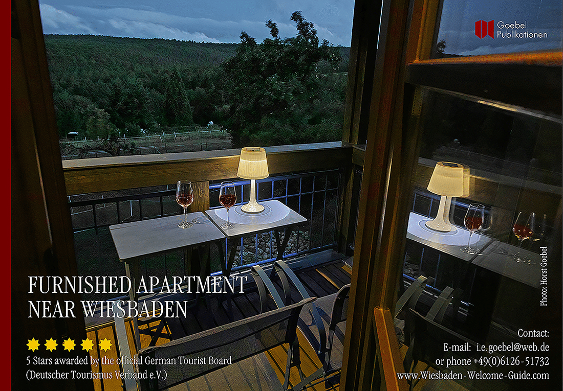 FURNISHED-APARTMENT-TAUNUSSTEIN-D