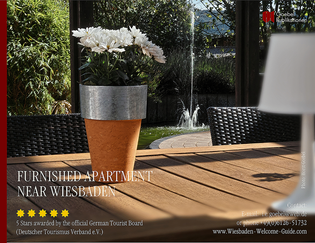 FURNISHED-APARTMENT-TAUNUSSTEIN-F