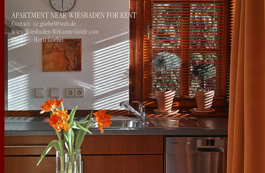 Furnished-Apartment-Wiesbaden-9a