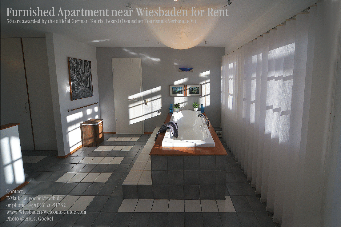 Wiesbaden Furnished Apartment  goebel 2 