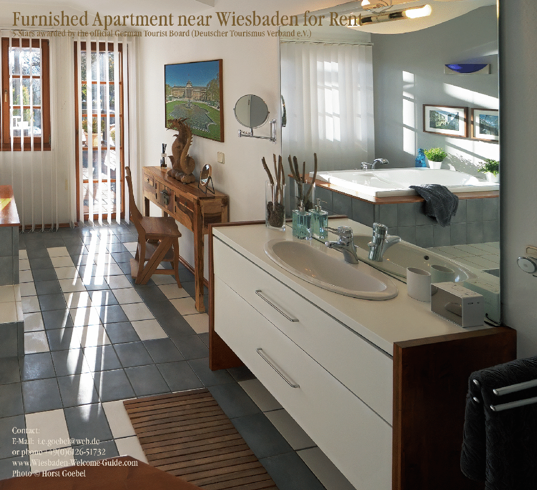 Wiesbaden Furnished Apartment  goebel 6 