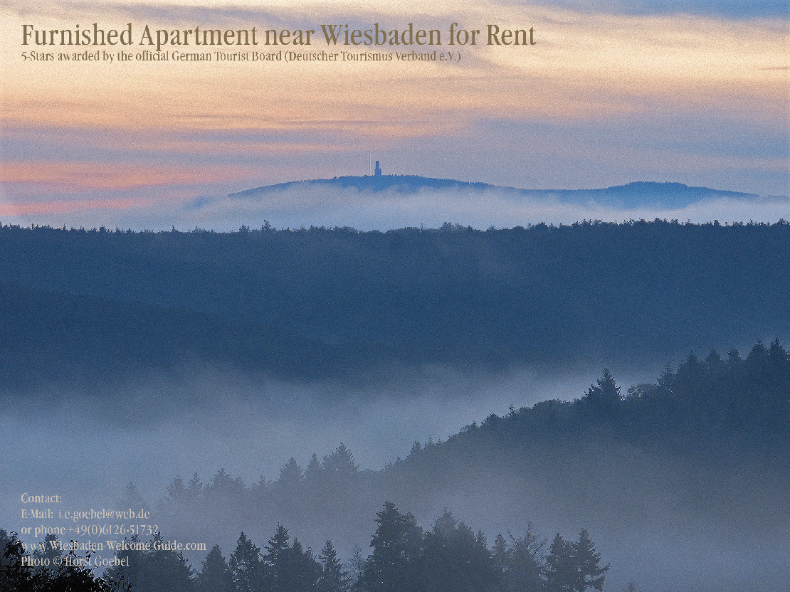 Wiesbaden Furnished Apartment  goebel 8 